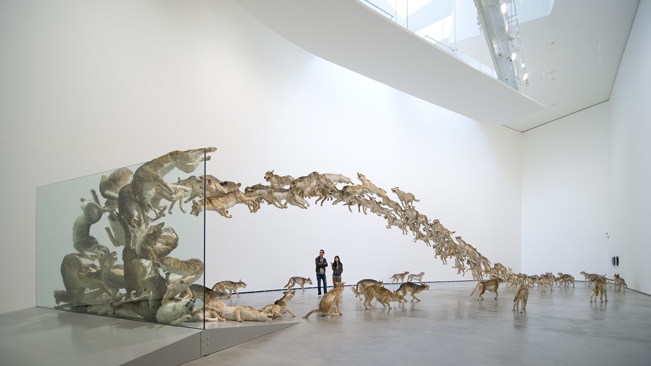 "Head On" Wolf Exhibit by Cai Guo-Qiang
