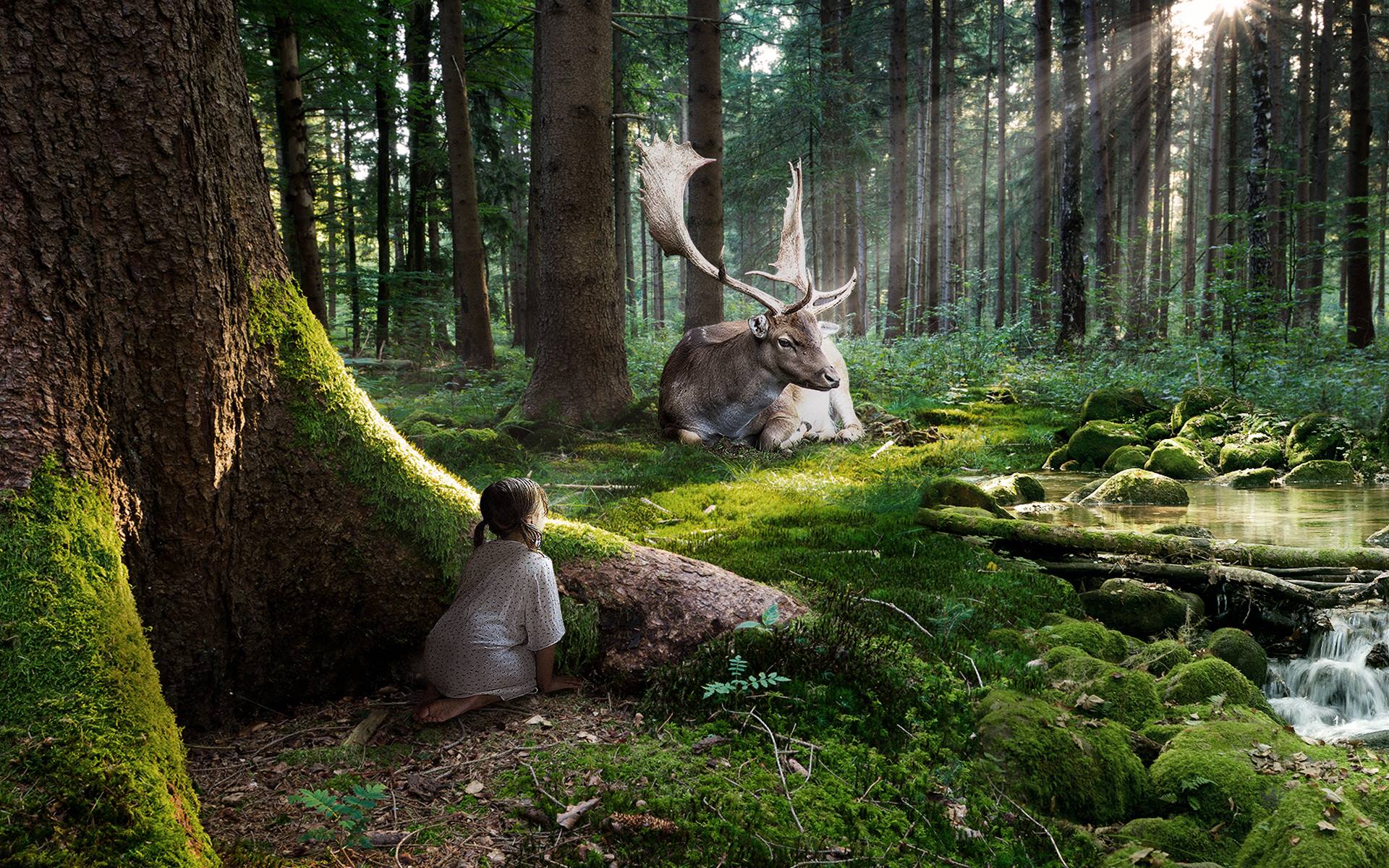 enchanting picture of a little girl peeking at a giant moose