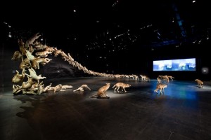 "Head On" Wolf Exhibit by Cai Guo-Qiang